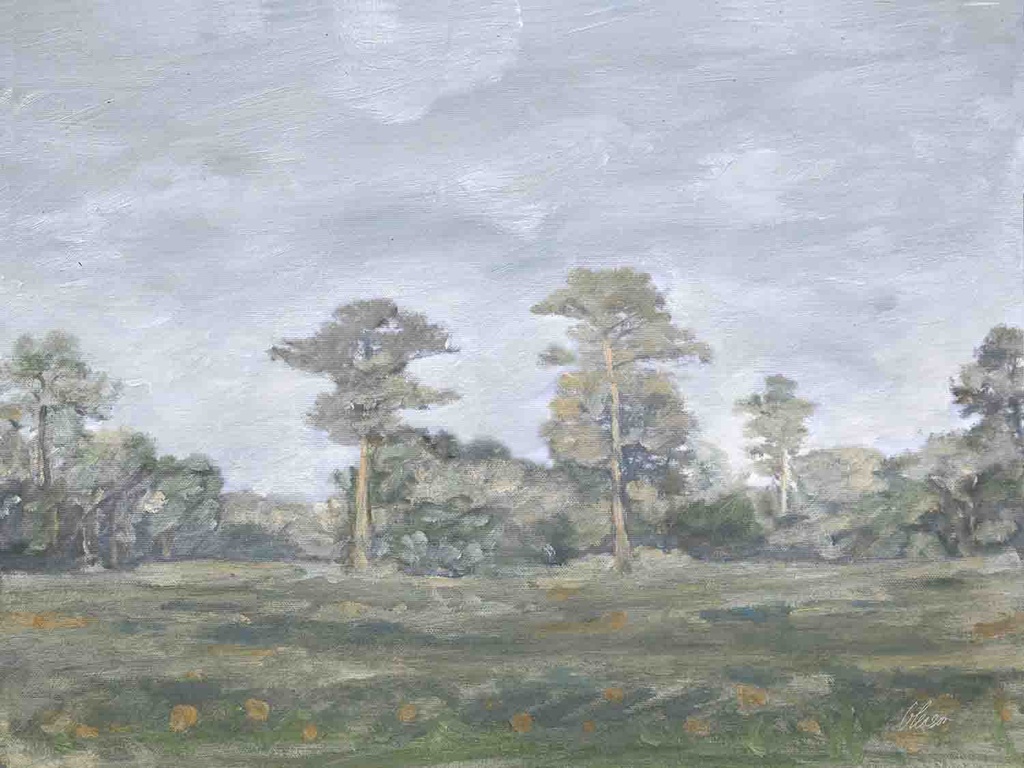 Tranquil Pasture