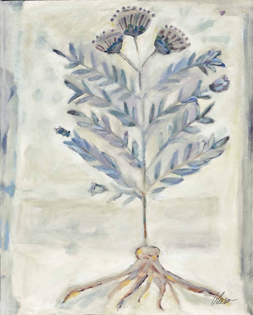 Voynich Meadow Part 2:  Laurel