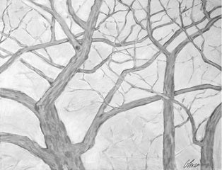 White Oak