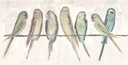 [PKELE-12X12G] Glamor Parakeets: Elle (12x12, Gold)