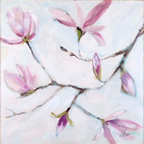 Japanese Flowering Spring: Magnolia