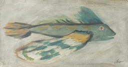 Angler:  Fly Fish